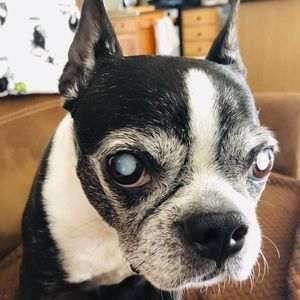 Meet your Posher, Sherry